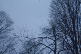 Blue Flakes Falling