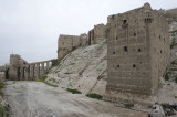 Aleppo april 2009 9028.jpg