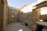 Palmyra apr 2009 9996.jpg