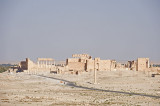 Palmyra apr 2009 0019.jpg