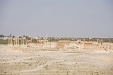 Palmyra apr 2009 0022.jpg