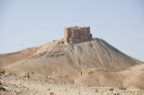 Palmyra apr 2009 0027b.jpg