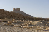 Palmyra apr 2009 0063.jpg