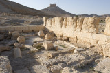 Palmyra apr 2009 0066.jpg