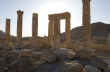 Palmyra apr 2009 0069.jpg