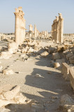 Palmyra apr 2009 0073.jpg