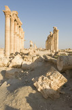 Palmyra apr 2009 0075.jpg