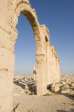 Palmyra apr 2009 0080.jpg