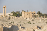 Palmyra apr 2009 0086.jpg