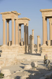 Palmyra apr 2009 0088.jpg