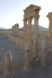Palmyra apr 2009 0106.jpg