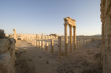 Palmyra apr 2009 0108.jpg