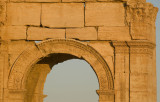 Palmyra apr 2009 0131.jpg