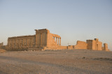 Palmyra apr 2009 0140.jpg