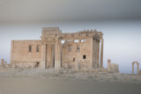 Palmyra apr 2009 0145.jpg