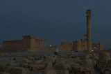 Palmyra apr 2009 0151.jpg