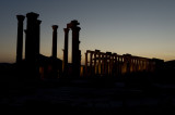 Palmyra apr 2009 0157.jpg