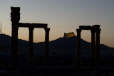 Palmyra apr 2009 0158.jpg
