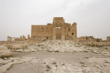Palmyra apr 2009 0197.jpg