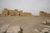 Palmyra apr 2009 0201.jpg