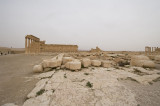 Palmyra apr 2009 0202.jpg