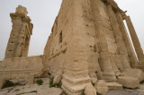 Palmyra apr 2009 0226.jpg