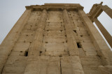 Palmyra apr 2009 0231.jpg