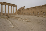 Palmyra apr 2009 0285.jpg