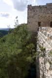 Saladin castle sept 2009 4105.jpg