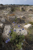 Ugarit sept 2009 3952.jpg