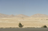 Homs sept 2009 3038.jpg