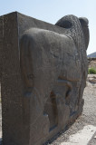 Ain Dara lion 0527.jpg
