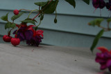 Jun 18, 2010