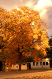 Oct 15, 2010