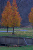 Nov 13, 2010