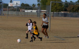 Nov 20, 2010