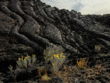 jordan craters lava