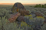 glacial erratics-rabbit brush- Alvord  desert