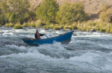 running whitehorse rapid