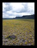 Calderwood reservoir 03