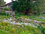 Restaurante Los Ar&#225;ndanos