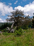 Entorno