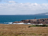 Caracola desde la Torre de Hrcules