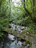 Cascada de la Salgueira