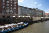 Amsterdamse gracht