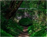 Elsloo Kasteelpark - duiker in het groen.jpg
