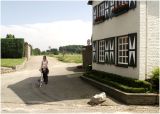 Catsop vredig beeld op de hoek van Het Einde en Achter de Wei.jpg