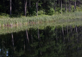 Mary Lake reflection DB 50 copy.jpg