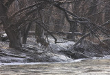 Near Coon Rapids, MN dam.jpg