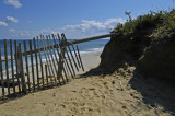 Cahoons Hollow